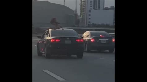 car twerk|Video: Woman Twerks on Roof of Car Speeding Down MacArthur .